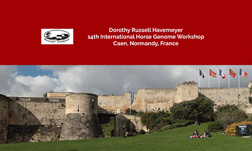 International Havemeyer Horse Genome Workshop
