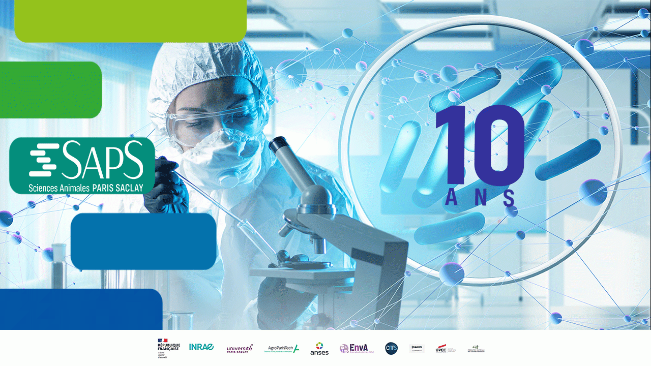 SAPS 10 ans