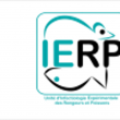 IERP.png