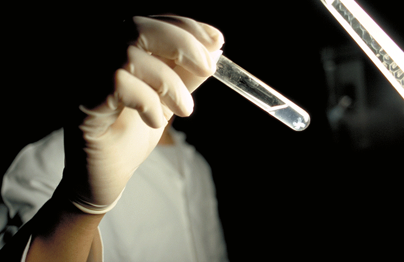 Picture of PDFLaw, borders and the territorialisation of cyberspace